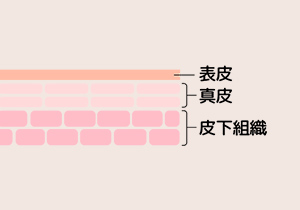 鍼がスキンケアで届きづらい皮膚の深層までアプローチ
